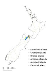 Veronica baylyi distribution map based on databased records at AK, CHR & WELT.
 Image: K.Boardman © Landcare Research 2022 CC-BY 4.0